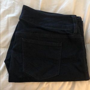 Torrid Denim Jeans